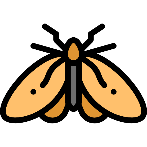 BC Moths